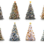 Various Decorated Christmas Trees Isolated
